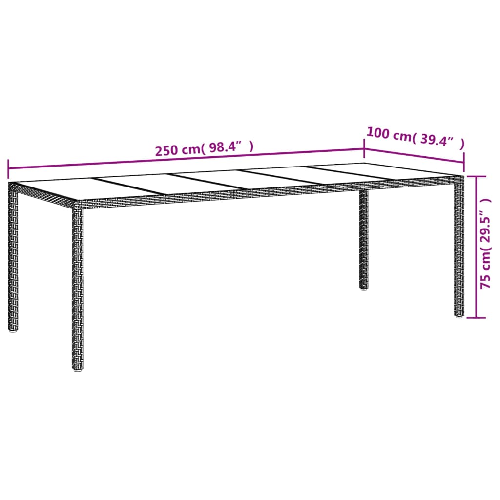 Garden Table Black 250x100x75 cm Tempered Glass and Poly Rattan